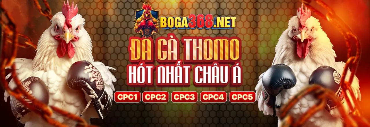 Đá Gà Trực Tuyến Thomo999